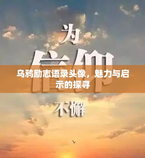 乌鸦励志语录头像，魅力与启示的探寻