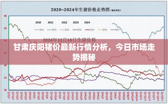 甘肃庆阳猪价最新行情分析，今日市场走势揭秘