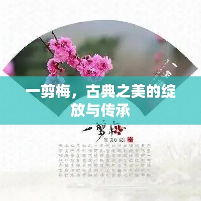 一剪梅，古典之美的绽放与传承