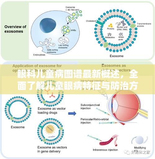 眼科儿童病图谱最新概述，全面了解儿童眼病特征与防治方法