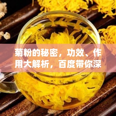 菊粉的秘密，功效、作用大解析，百度带你深入了解！