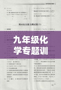 九年级化学专题训练二，深化理解与提升应用能力实战演练