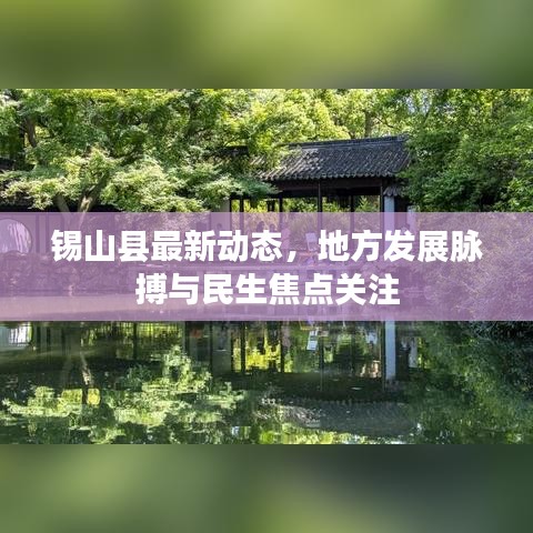 锡山县最新动态，地方发展脉搏与民生焦点关注