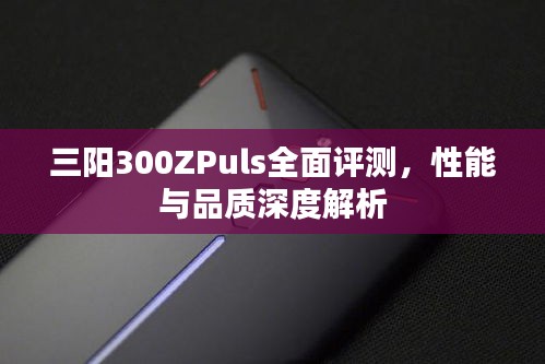 三阳300ZPuls全面评测，性能与品质深度解析