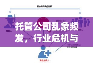 托管公司乱象频发，行业危机与应对策略