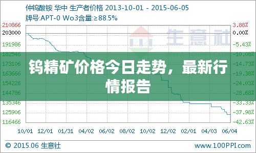 钨精矿价格今日走势，最新行情报告