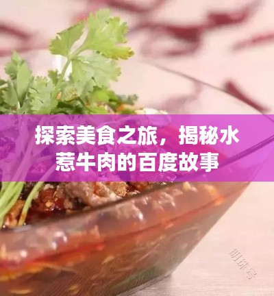 探索美食之旅，揭秘水惹牛肉的百度故事