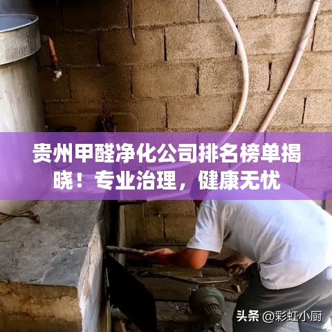 贵州甲醛净化公司排名榜单揭晓！专业治理，健康无忧