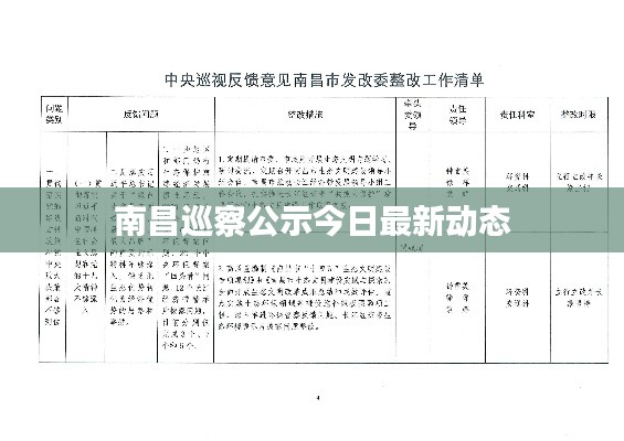 南昌巡察公示今日最新动态