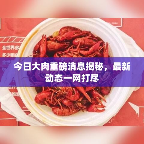 今日大肉重磅消息揭秘，最新动态一网打尽