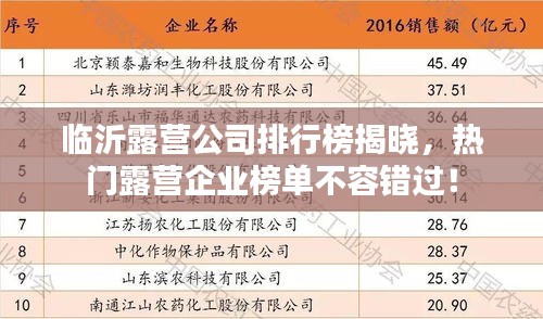 临沂露营公司排行榜揭晓，热门露营企业榜单不容错过！