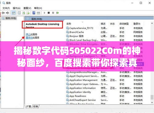 揭秘数字代码505022C0m的神秘面纱，百度搜索带你探索真相！