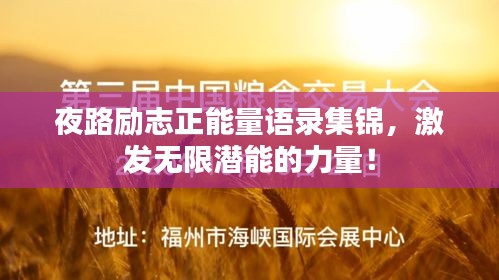 夜路励志正能量语录集锦，激发无限潜能的力量！